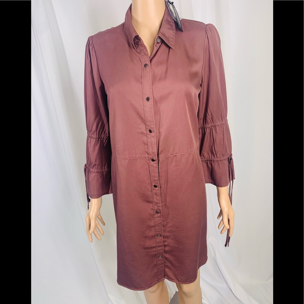 Express Button Down Shirt Dress